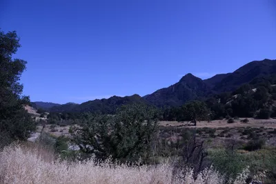 DSC_2011 (Large).JPG